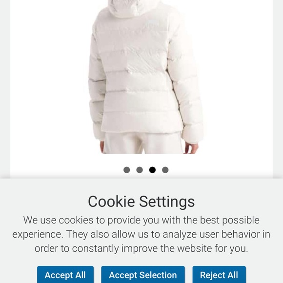 North Face Gotham Parka Coat NWT - Picture 3 of 9